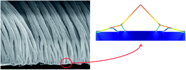 Graphical abstract: Hierarchical multiple peeling simulations