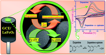 Graphical abstract: Detection of the neurotransmitter dopamine by a glassy carbon electrode modified with self-assembled perovskite LaFeO3 microspheres made up of nanospheres