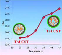 Graphical abstract: Thermo responsive ultrafiltration membranes of grafted poly(N-isopropyl acrylamide) via polydopamine