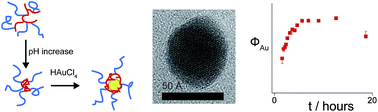 Graphical abstract: Direct synthesis of PEG-encapsulated gold nanoparticles using branched copolymer nanoreactors