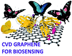 Graphical abstract: CVD graphene based immunosensor