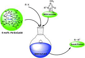 Graphical abstract: An efficient and new protocol for phosphine-free Suzuki coupling reaction using palladium-encapsulated and air-stable MIDA boronates in an aqueous medium