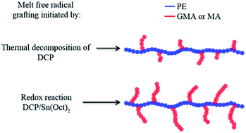 Graphical abstract: Enhanced melt free radical grafting efficiency of polyethylene using a novel redox initiation method
