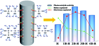 Graphical abstract: Capturing photogenerated electrons and holes at the B/Cl co-modified rutile TiO2 nanorods during organic pollutant degradation