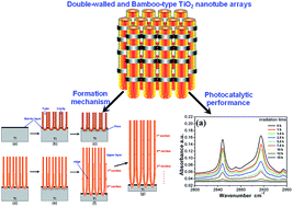 Graphical abstract: Growth mechanism and photocatalytic performance of double-walled and bamboo-type TiO2 nanotube arrays