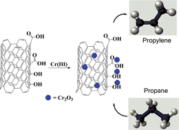 Graphical abstract: Revealing the ameliorating effect of chromium oxide on a carbon nanotube catalyst in propane oxidative dehydrogenation