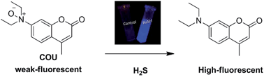 Graphical abstract: Fluorogenic sensing of H2S in blood and living cells via reduction of aromatic dialkylamino N-oxide