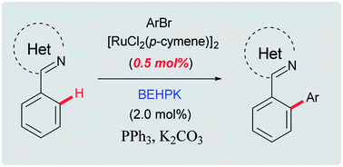 Graphical abstract: K-bis(2-ethylhexyl) phosphate (BEHPK): a novel additive for C–H arylation