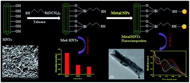 Graphical abstract: Development of novel inorganic–organic hybrid nanocomposites as a recyclable adsorbent and catalyst