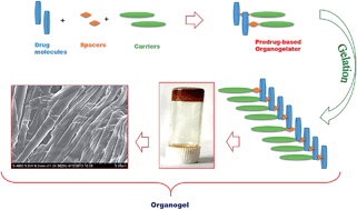 Graphical abstract: Fabrication of organogels achieved by prodrug-based organogelators of ketoprofen