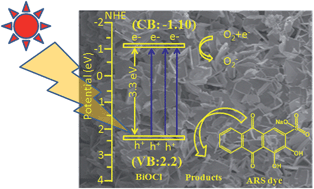 Graphical abstract: Bi2O3 and BiOCl electrospun nanosheets and morphology-dependent photocatalytic properties