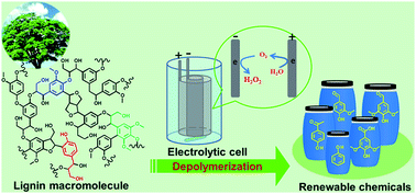 Graphical abstract: Electrochemical depolymerization of lignin into renewable aromatic compounds in a non-diaphragm electrolytic cell