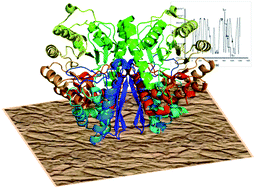 Graphical abstract: Stochastic microsensors as screening tools for neuron specific enolase