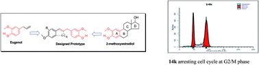 Graphical abstract: Syntheses of 2-methoxyestradiol and eugenol template based diarylpropenes as non-steroidal anticancer agents