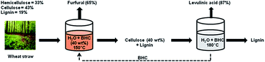 Graphical abstract: Conversion of wheat straw to furfural and levulinic acid in a concentrated aqueous solution of betaïne hydrochloride