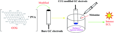 Graphical abstract: Determination of melamine based on electrochemiluminescence of Ru(bpy)32+ at chemically converted graphene-modified glassy carbon electrode