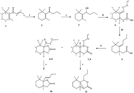 Graphical abstract: Synthesis of β-damascone derivatives with a lactone ring and their feeding deterrent activity against aphids and lesser mealworms