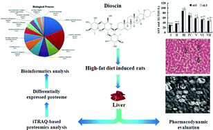 Graphical abstract: iTRAQ-based proteomics for studying the effects of dioscin against nonalcoholic fatty liver disease in rats