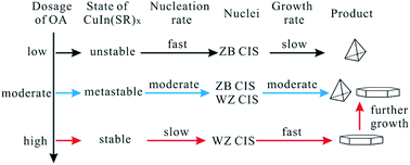 Graphical abstract: Oleic acid assisted formation mechanism of CuInS2 nanocrystals with tunable structures