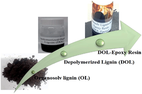 Graphical abstract: Synthesis of lignin-based epoxy resins: optimization of reaction parameters using response surface methodology