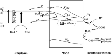 Graphical abstract: The photocatalytic activity and degradation mechanism of methylene blue over copper(ii) tetra(4-carboxyphenyl) porphyrin sensitized TiO2 under visible light irradiation