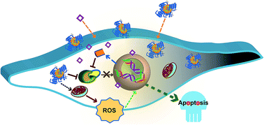 Graphical abstract: Chemosensitization of IκBα-overexpressing glioblastoma towards anti-cancer agents