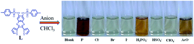 Graphical abstract: Retracted Article: Dipyrrolyl-bis-sulfonamide chromophore based probe for anion recognition