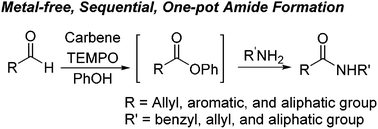 Graphical abstract: N-heterocyclic carbene-catalyzed oxidation of aldehydes for the synthesis of amides via phenolic esters