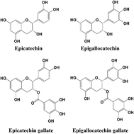 Graphical abstract: Antioxidant-related and kinetic studies on the reduction effect of catechins and esterified catechins on acrylamide formation in a microwave heating model system