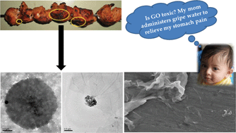 Graphical abstract: Involuntary graphene intake with food and medicine