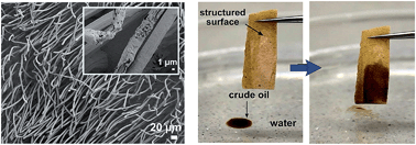 Graphical abstract: Wood-based microhaired superhydrophobic and underwater superoleophobic surfaces for oil/water separation