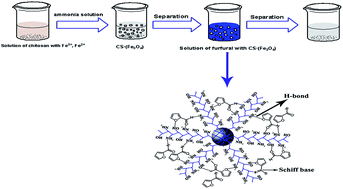 Graphical abstract: Synthesis, characterization and application of chitosan coated Fe3O4 particles as an adsorbent for the removal of furfural from aqueous solution
