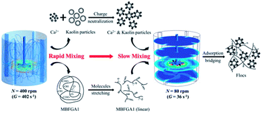 Graphical abstract: Assessing the effect of flow fields on flocculation of kaolin suspension using microbial flocculant GA1