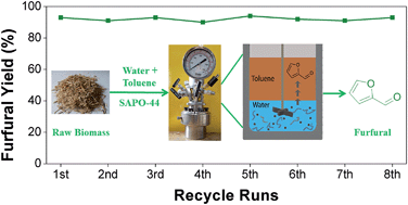 Graphical abstract: Exceptionally high yields of furfural from assorted raw biomass over solid acids