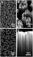 Graphical abstract: Substrate porosity induces phenotypic alterations in retinal cells cultured on silicon nanowires