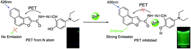 Graphical abstract: A highly selective PET-based chemosensor for instant detecting of Zn2+