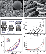 Graphical abstract: Tailoring the adsorption rate of porous chitosan and chitosan–carbon nanotube core–shell beads