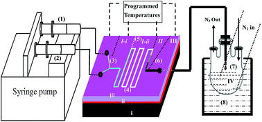 Graphical abstract: Spatiotemporal-resolved nanoparticle synthesis via simple programmed microfluidic processes