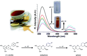 Graphical abstract: A solution spectroscopy study of tea polyphenol and cellulose: effect of surfactants