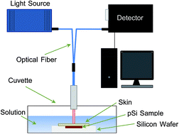 Graphical abstract: Towards implantable porous silicon biosensors