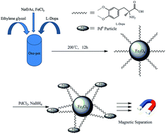 Graphical abstract: One-pot synthesis of l-dopa-functionalized water-dispersible magnetite nano-palladium catalyst and its application in the Suzuki and Heck reactions in water: a novel and highly active catalyst