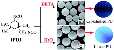 Graphical abstract: Preparation of highly uniform and crosslinked polyurea microspheres through precipitation copolymerization and their property and structure characterization