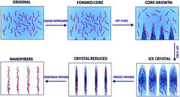 Graphical abstract: Crosslinked polyelectrolyte complex fiber membrane based on chitosan–sodium alginate by freeze-drying