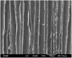 Graphical abstract: Fabrication of chitosan/gelatin foams with ordered porous structures for use in drug release and metal ion adsorption