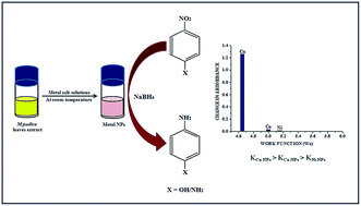 Graphical abstract: Biogenic synthesis of metal nanocatalysts using Mimosa pudica leaves for efficient reduction of aromatic nitrocompounds