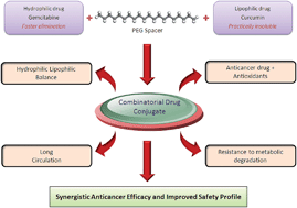 Graphical abstract: Combinatorial bio-conjugation of gemcitabine and curcumin enables dual drug delivery with synergistic anticancer efficacy and reduced toxicity