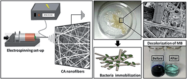 Graphical abstract: Reusable bacteria immobilized electrospun nanofibrous webs for decolorization of methylene blue dye in wastewater treatment