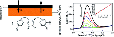 Graphical abstract: The highly sensitive electrocatalytic sensing of catechol using a gold/titanium dioxide nanocomposite-modified gold electrode