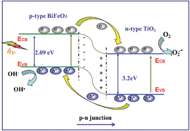 Graphical abstract: Electrospun nanofibers of p-type BiFeO3/n-type TiO2 hetero-junctions with enhanced visible-light photocatalytic activity