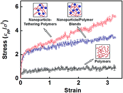 Graphical abstract: Distinct mechanical properties of nanoparticle-tethering polymers